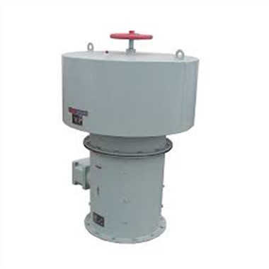 अक्षीय प्रशंसक के लिए समुद्री मशरूम वेंट